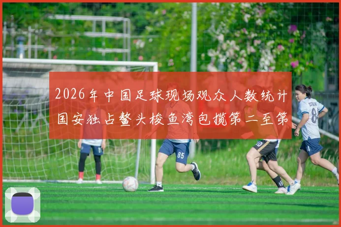 2026年中国足球现场观众人数统计国安独占鳌头梭鱼湾包揽第二至第七位